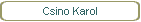 Csino Karol