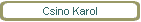 Csino Karol